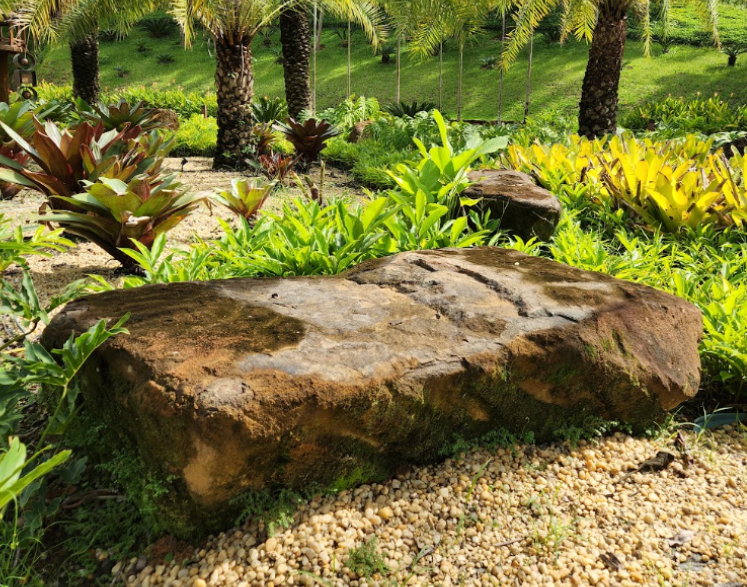 Pedras grandes para jardim: como usar como elemento cênico